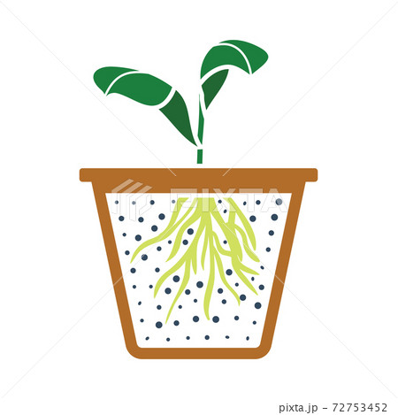 Seedling Icon Seedling Icon 72753452