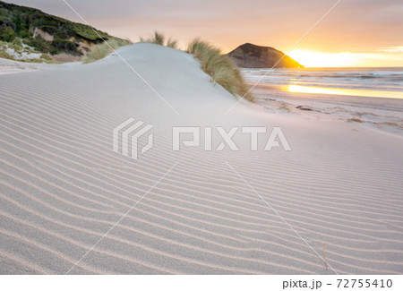 Dunes on ocean coast 72755410