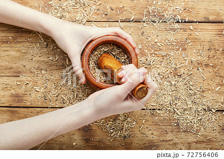 Eleutherococcus in herbal medicine 72756406