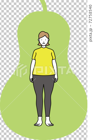 内臓脂肪皮下脂肪 72758540