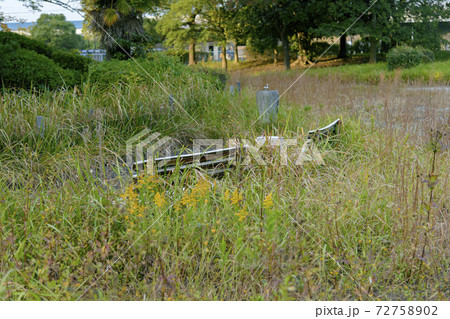 手入れされていない公園のベンチ 手入れされていない公園のベンチ 72758902