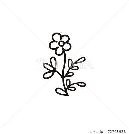 Forget-me-not flower, camomile. Isolated vector illustration. Doodle style.	 72763928