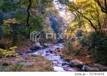 秋の天岩戸神社と爽やかな渓谷 秋の天岩戸神社と爽やかな渓谷 72764039