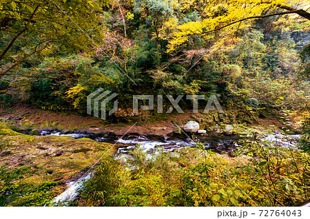 秋の天岩戸神社と爽やかな渓谷 72764043