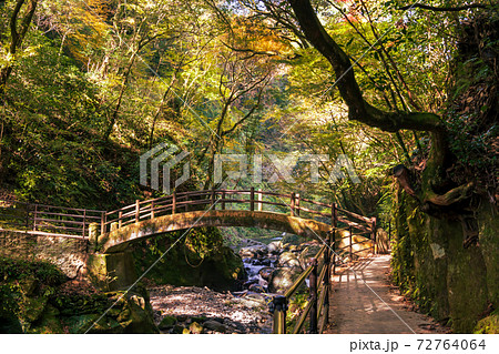 秋の天岩戸神社と爽やかな渓谷 秋の天岩戸神社と爽やかな渓谷 72764064