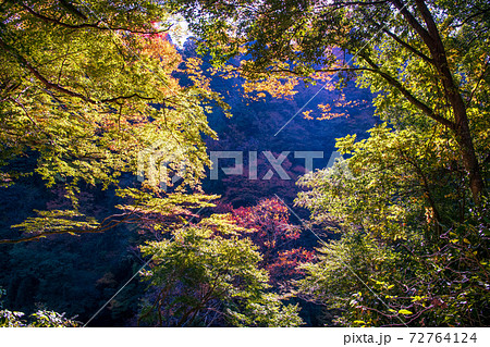 秋の天岩戸神社と爽やかな渓谷 72764124