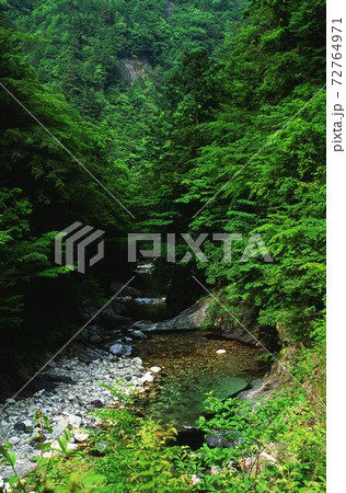 新緑の渓谷(奈良県吉野郡下北山村 前鬼 吉野熊野国立公園内) 新緑の渓谷(奈良県吉野郡下北山村 前鬼 吉野熊野国立公園内) 72764971