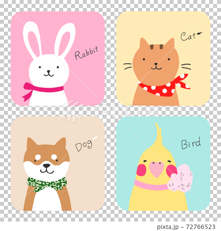 ウサギとネコとイヌとトリのイラストのイラスト素材