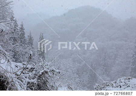 大雪で霞む里山 福島県只見町 大雪で霞む里山 福島県只見町 72766807