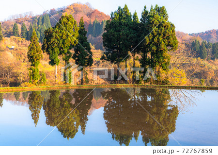 《新潟県》水鏡の水田・星峠の棚田 《新潟県》水鏡の水田・星峠の棚田 72767859