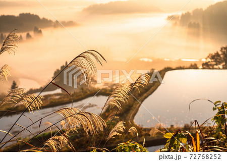 《新潟県》星峠の棚田・秋の風景 《新潟県》星峠の棚田・秋の風景 72768252