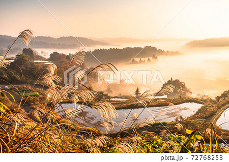 《新潟県》星峠の棚田・秋の風景 《新潟県》星峠の棚田・秋の風景 72768253
