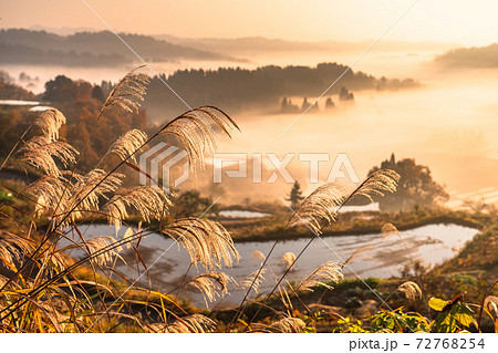 《新潟県》星峠の棚田・秋の風景 72768254