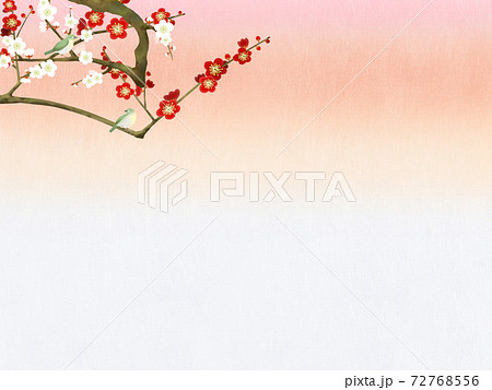 Japanese-style background of plum blossoms and... - Stock Illustration  [72768556] - PIXTA