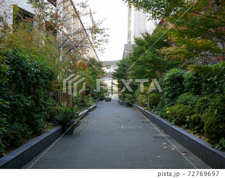 深川ギャザリア　早朝 72769697