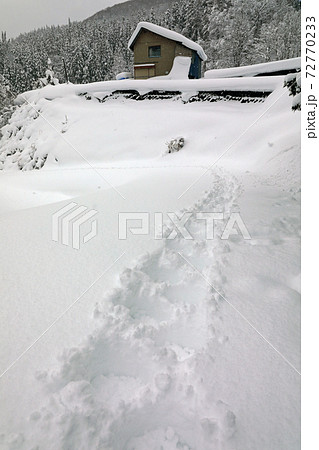 大雪の中休み、一軒家へのラッセルトレイル 72770233