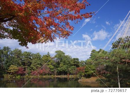 秋の兼六園(石川県金沢市) 秋の兼六園(石川県金沢市) 72770657