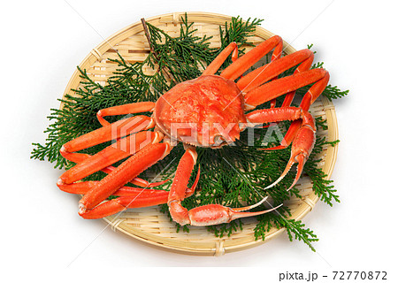 ズワイガニ ズワイガニ 72770872