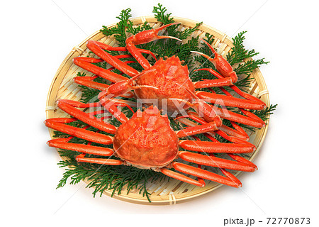 ズワイガニ ズワイガニ 72770873