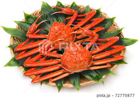 茹でたズワイガニ 茹でたズワイガニ 72770877