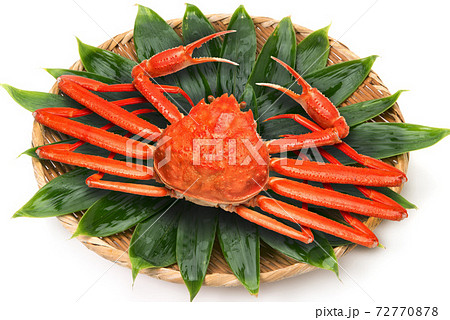 茹でたズワイガニ 茹でたズワイガニ 72770878