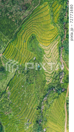 Aerial view of Nang Lae Nai Rice Terraces in Chiang Rai, Chiang Mai province, Thailand Aerial view of Nang Lae Nai Rice Terraces in Chiang Rai, Chiang Mai province, Thailand 72771680