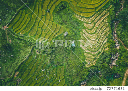 Aerial view of Nang Lae Nai Rice Terraces in Chiang Rai, Chiang Mai province, Thailand Aerial view of Nang Lae Nai Rice Terraces in Chiang Rai, Chiang Mai province, Thailand 72771681