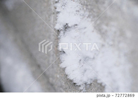 コンクリートに引っ付く白いカビ菌の写真素材
