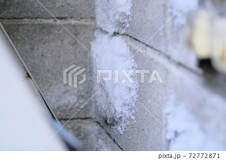 氷のように見える白いカビの写真素材