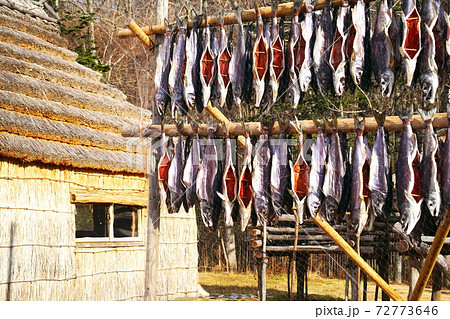 白老町ポロト湖畔に誕生した素晴らしいウポポイ 72773646