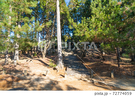 紫香楽宮跡(甲賀寺跡) 紫香楽宮跡(甲賀寺跡) 72774059