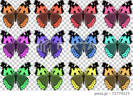 アカタテハ　カラフル　セット　イラスト 72774225