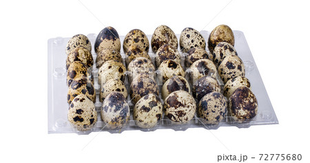 quail eggs  isolated on a white background 72775680