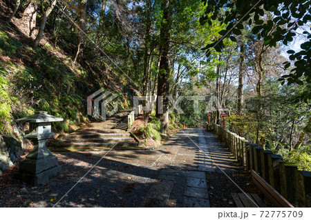 【京都府】　鞍馬寺 72775709