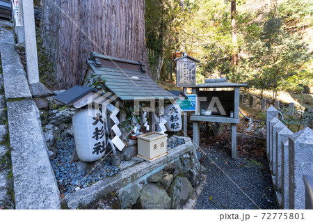 【京都府】　鞍馬寺 72775801