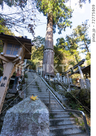 【京都府】　鞍馬寺 72775809