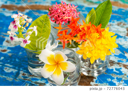 Tropical Flowers Stock Photo