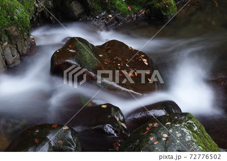 秋の渓谷 72776502