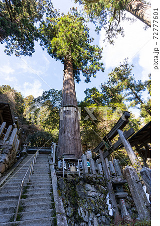 【京都府】　鞍馬寺 72777601
