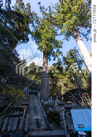 【京都府】　鞍馬寺 72777608
