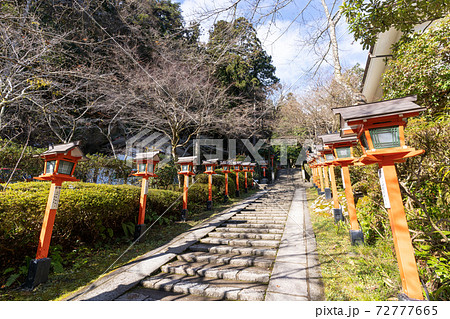 【京都府】　鞍馬寺 72777665