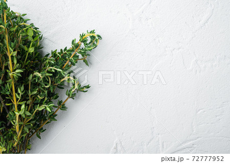 Thyme green organic bunch of herbs, on white background, top view with copy space for text Thyme green organic bunch of herbs, on white background, top view with copy space for text 72777952