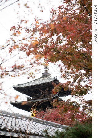 紅葉と五重塔 紅葉と五重塔 72778354