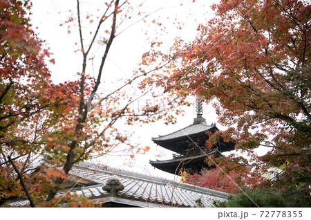 紅葉と八坂の塔 72778355