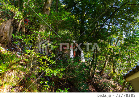 【京都府】 鞍馬寺 【京都府】 鞍馬寺 72778385