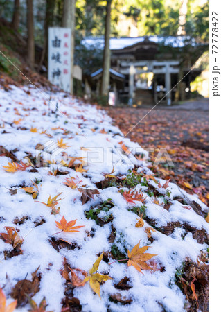 【京都府】　鞍馬寺 72778422