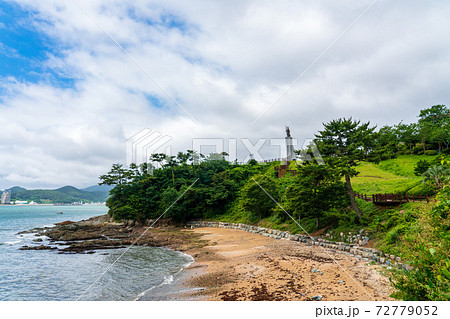 海 空 木 72779052