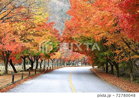 가을여행,가을풍경,국립공원 - 스톡사진 [72780048] - Pixta
