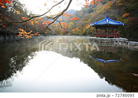 紅葉 秋 公園 72780095