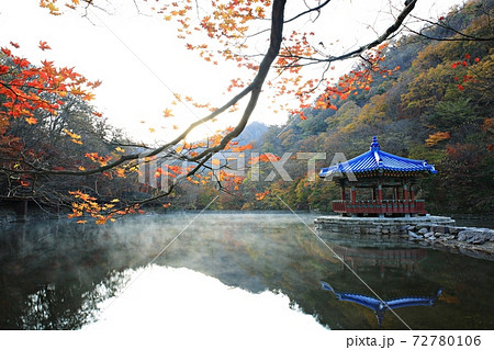 紅葉 秋 公園 72780106